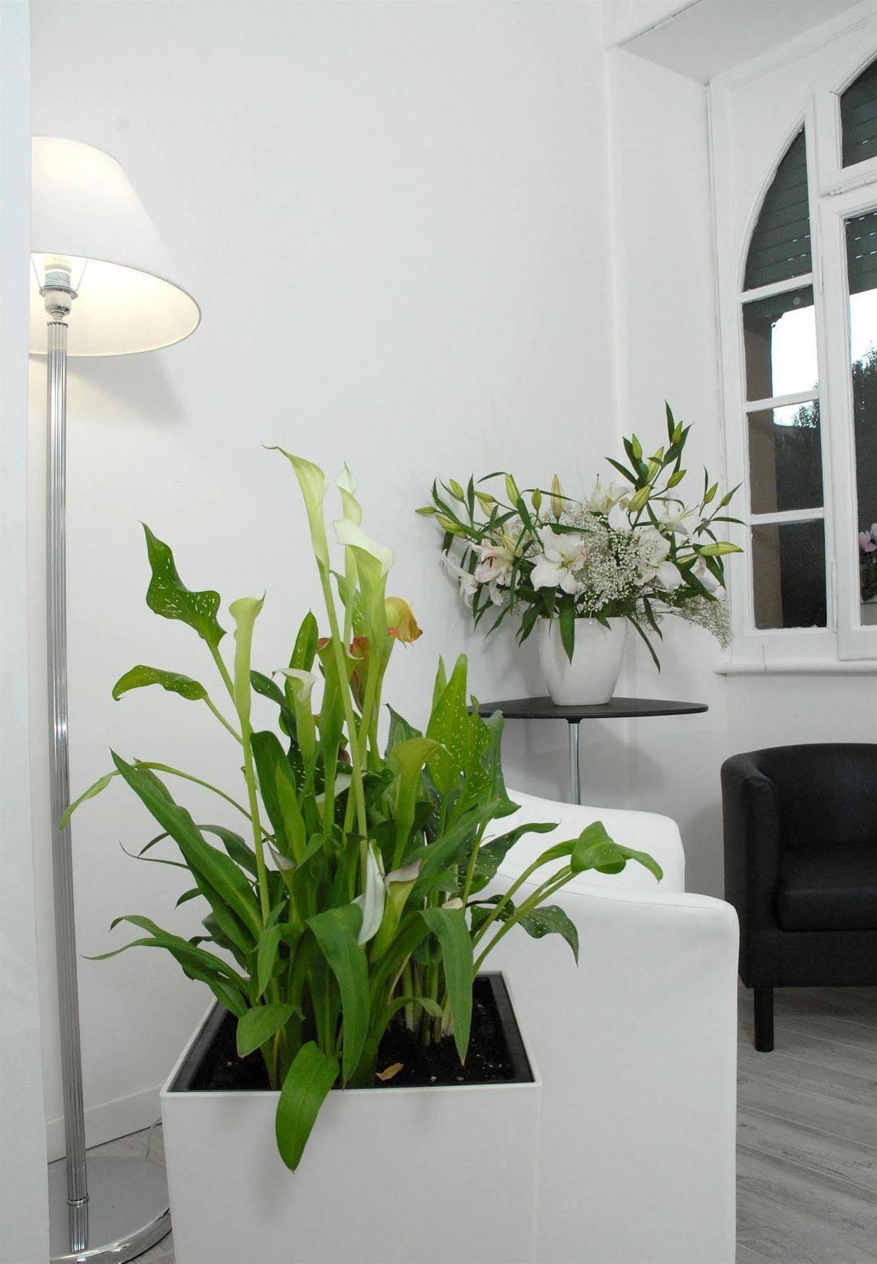 Gardenia Suite Roma Exterior foto